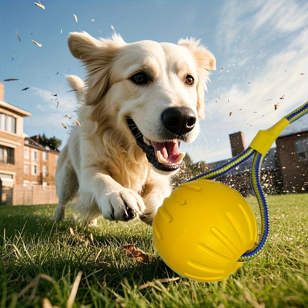 Balle flottante résistante aux morsures pour chiens, un jouet d'entraînement interactif conçu pour prévenir l'ingestion avec un anneau de traction et une corde