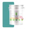 Latex Wall Paint for Interiors Wall Green Turquoise Mint 10l