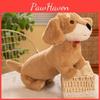 Adorable Soft Plush Dachshund Dog Toy For Kids Perfect For Cuddly Companionship Gift
