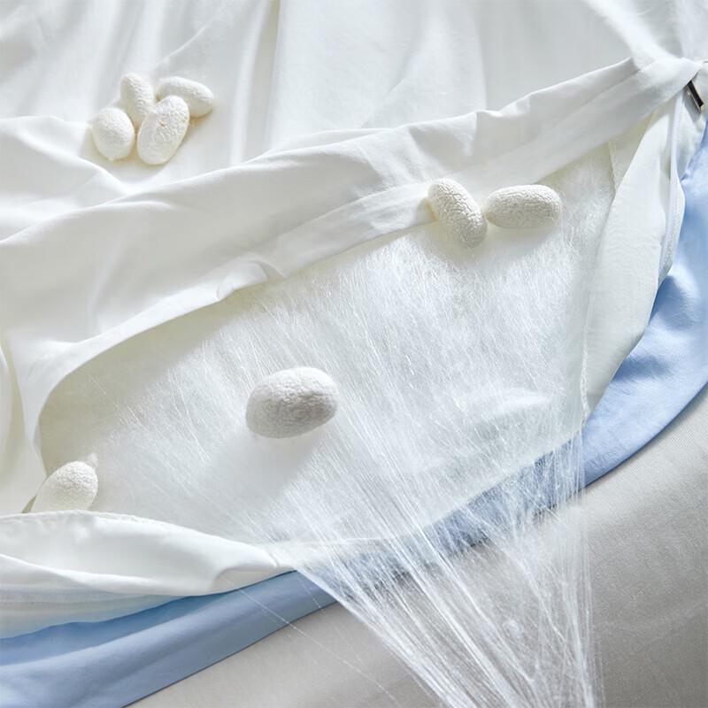 Champion Flowing Cloud Eco Silk Cotton Summer Quilt