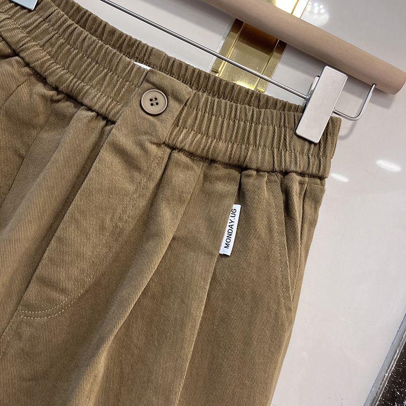 Fleece Harem Pants for Women, Autumn and Winter Korean Style, Versatile, Fashionable, Loose and Slimming Work Pants, Thickened Casual Long Pants