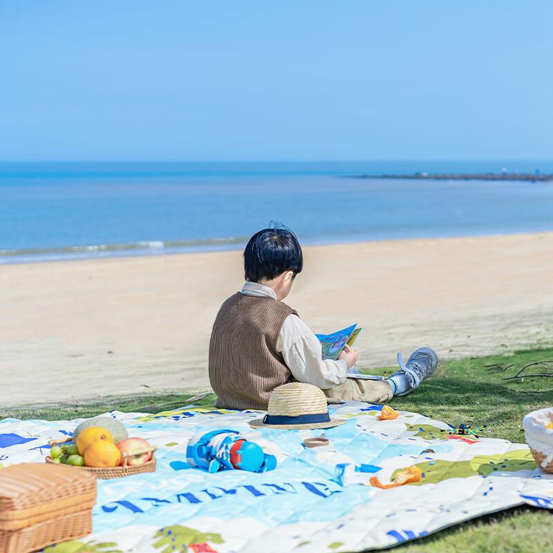 Portable Outdoor Picnic Mat