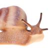 Simulation Animal Insect Model Mini Animal Snail Growth Cycle Ornament