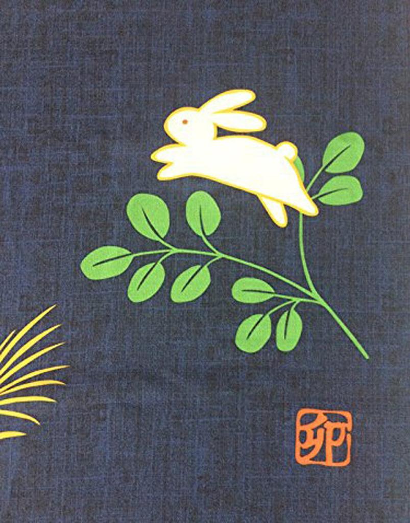 Cute and Stylish Noren Curtains for Living and These Charming Curtains Offer Privacy and Featuring a Full Moon and Rabbit They Are a Charm for Good