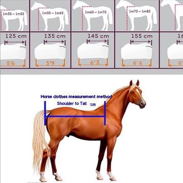 Cheap Horse Supplies Horse Harness Spot Winter Horsecloth with Neck and