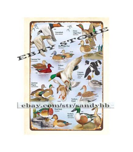 

wall decor prints Waterfowl identification chart duck hunting metal tin signAluminum 20x30cm（7.8x11.8inch）