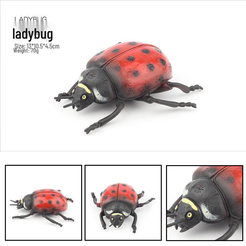 Large Insect Model Toy Set: Spider, Scorpion, Rhinoceros Beetle, Bee, Dragonfly