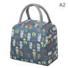 Insulated Lunch Bag For Camping Picnic Bento Cooler Bag Ice Pack Lunch Box