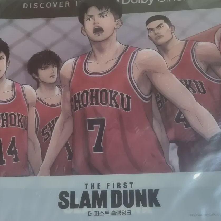Slam Dunk Pet Poster