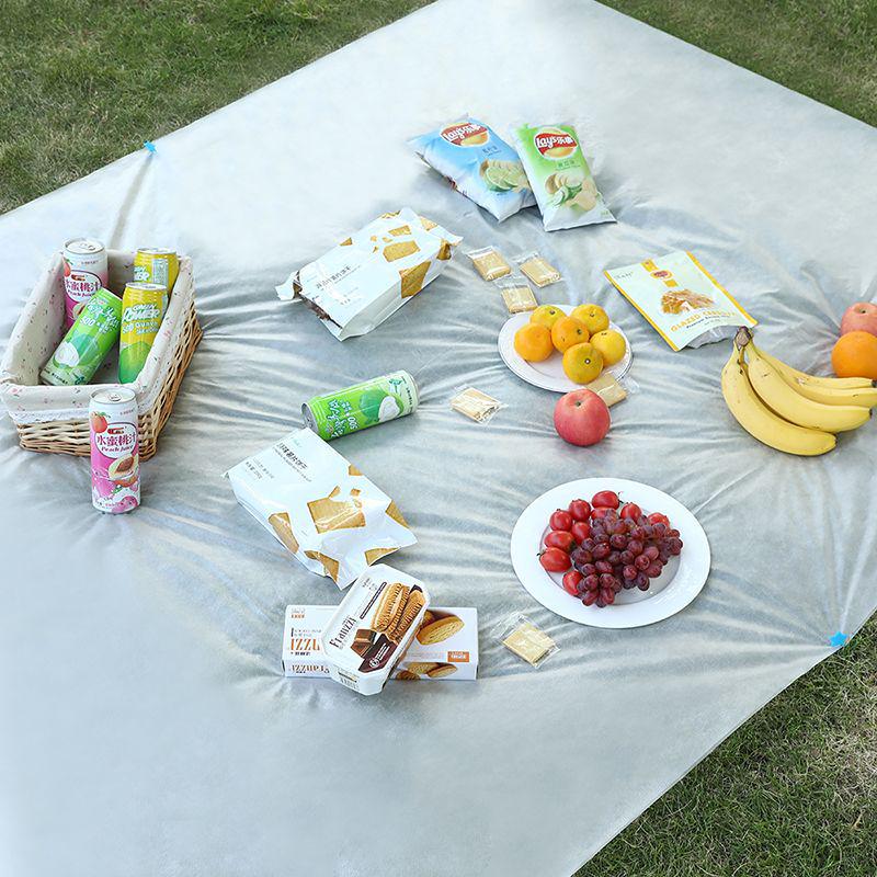 Waterproof & Thickened Outdoor Picnic Mat for Camping, Beach, and Music Festivals