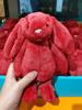 New Snow Rabbit Gemstone Plush Doll Gooseberry Green Blue Red Bonnie Rabbit Collectible Stuffed Animal
