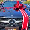 Luxury Car Delivery Ceremony Bow Decoration