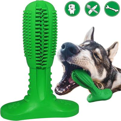 buy dog toothbrush