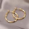 2025 Women's Möbius Hoop Earrings: Light Luxury & Nordic Retro Style