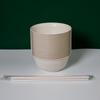 Outdoor Rice Husk Disposable Dinnerware Set with Conical Bowl