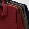 Pierre Cardin Men's 100% Wool Polo Collar Sweater