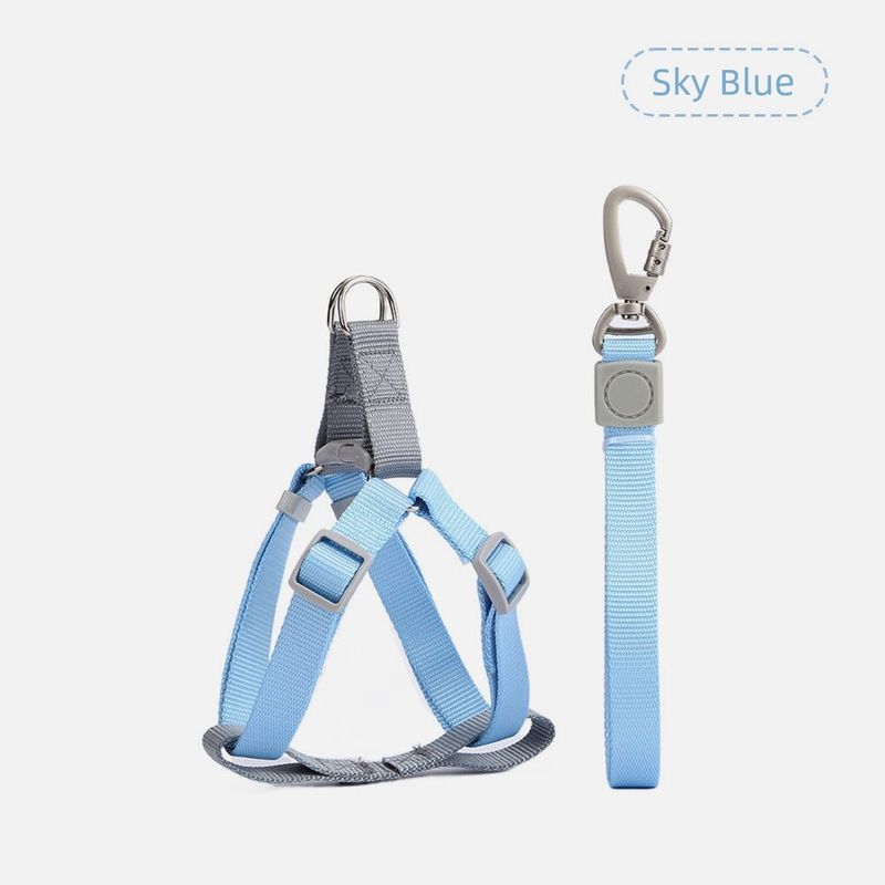 

Pet Supplies Amazon New Macaron Nylon Dog Leash Set Adjustable Chest and Back Leash S(1.0*120cm) Sky Blue