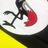 Национальный флаг Уганды 90x150см Индивидуальный Полиэстеровый Флаг