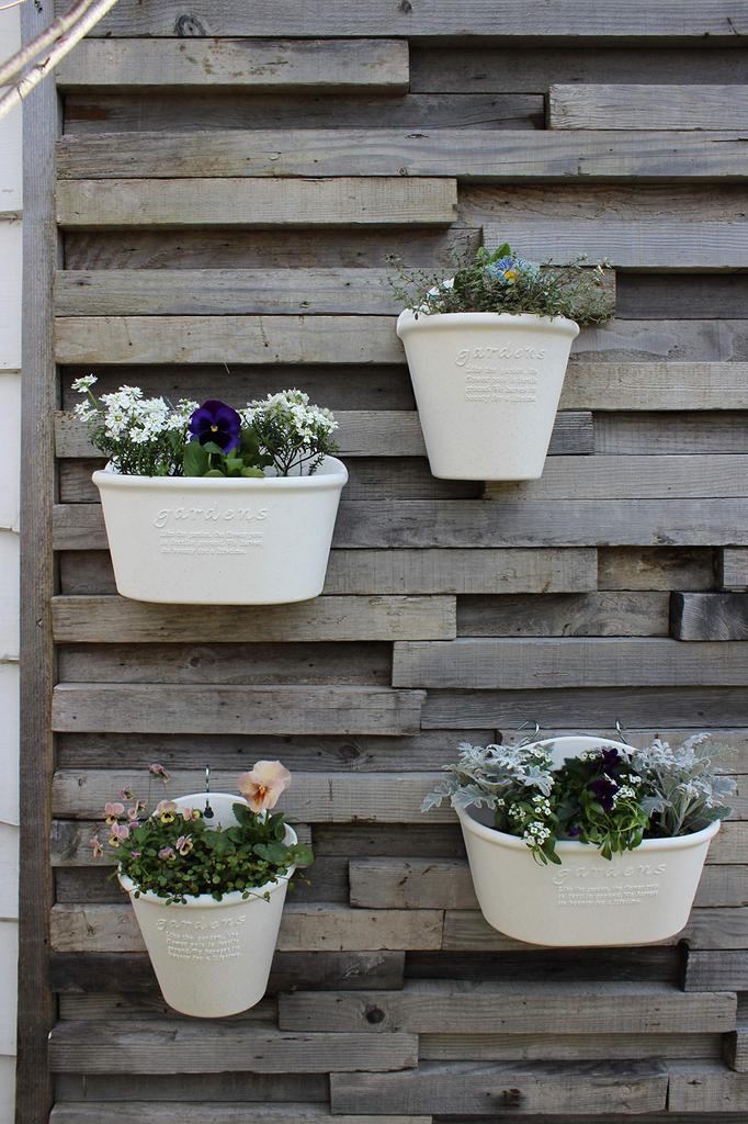 Hachimankasei Hanging Eco PotHanging Flowerpot 210 Mustard "Hachiman Gardenspapier"