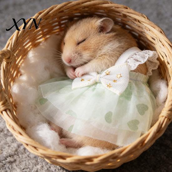 Photo Prop Hamster Clothes Cute Dress, Sweet Floral Heart Fruit Prints, Lace Trim Pet Dress Small Animal Costume with Bow, Animals Outfit for Squirrel
