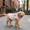 Breathable Pet Dress Shirt Ruffles Design Pet Princess Dress Dog Floral Lace Skirt  Photography
