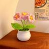 Hand Knitted Crochet Flower Doll Artificial Flower Potted Plant Wool Knitting Doll Forget-me-not Lily of The Valley