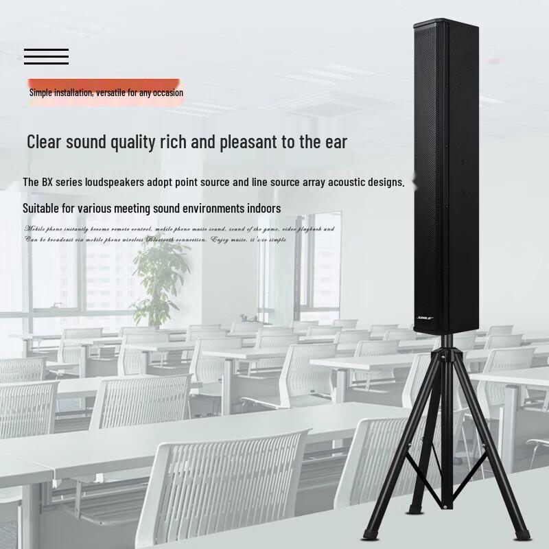 SHILE Professional Conference Audio System (CN version)