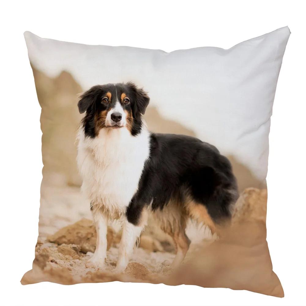 Cute Australian Shepherd Dog Pillow Case Peach Skin Decor Pet Animal Cushion Cover Thorw Pillowcase for Sofa Home Car 45x45cm