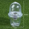 1/5Pcs Visible Clear Plants Germination Cup Transparent Plastic Nursery Growing Box Indoor Garden Greenhouse Seed Starter Tray