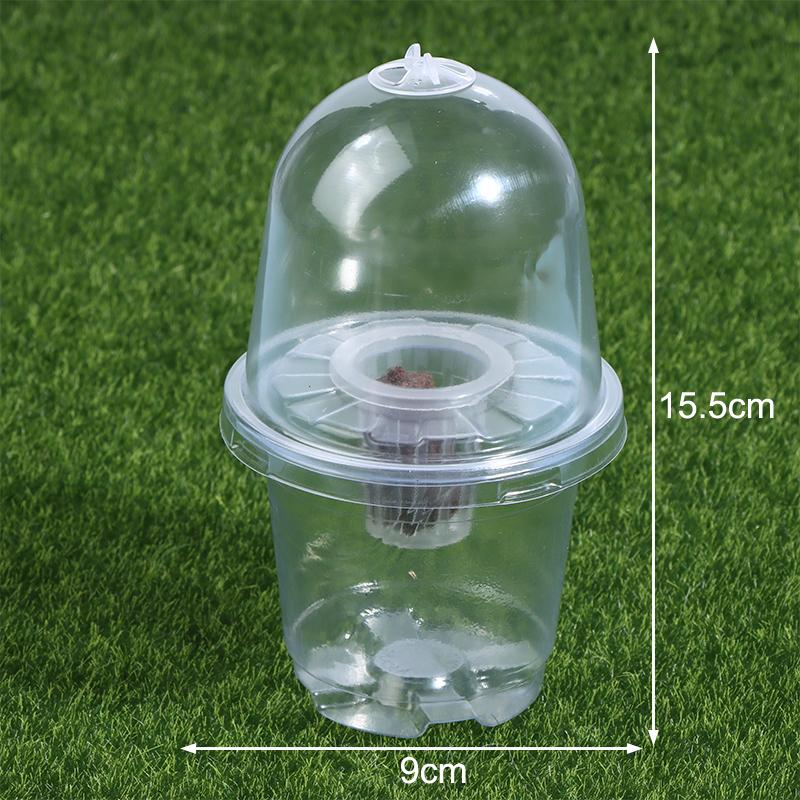 1/5Pcs Visible Clear Plants Germination Cup Transparent Plastic Nursery Growing Box Indoor Garden Greenhouse Seed Starter Tray
