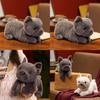 Plush Dog Toy Corgi Bulldog Soft Stuffed Animal For Kids Gift