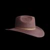 Brown Wool Hat French Vintage Webbing Decorative Felt Hat Webbing Western Style Felt Hat