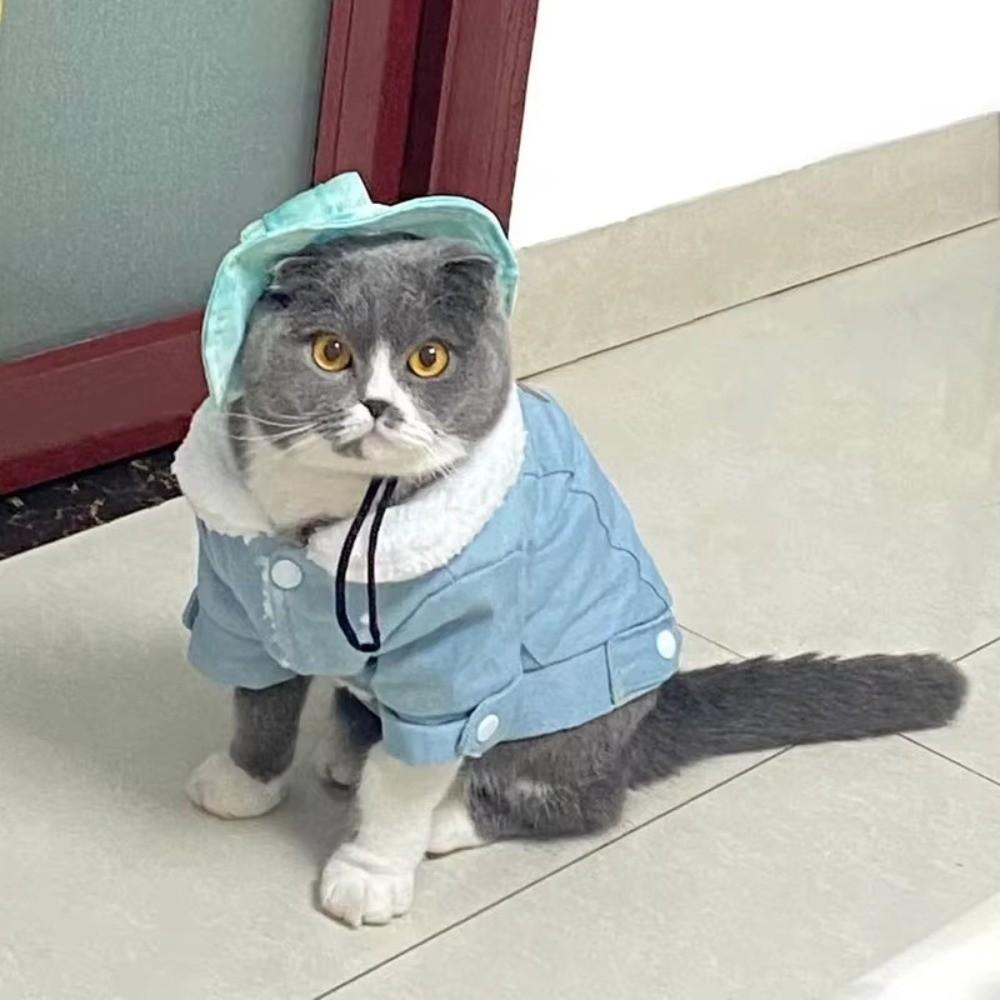Winter Dog Hiking Jacket Plush Lining Dog Vest Coat Fashion Pet Clothes for Small Medium Dog