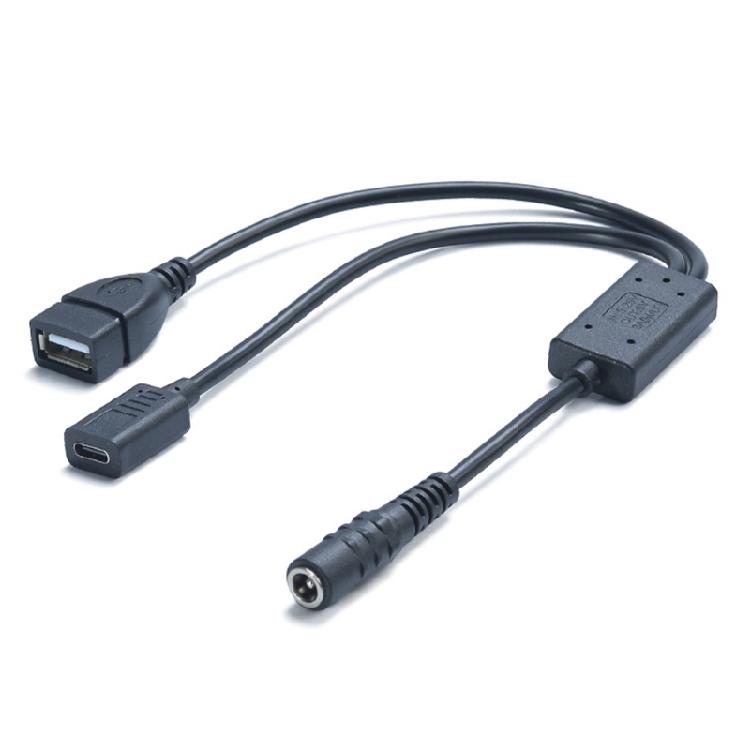 

Reliable DC5.5x2.1mm To Type C +USB Female Power Adapter Cable With Intelligent Over-Current,Short-Circuits Protections 1