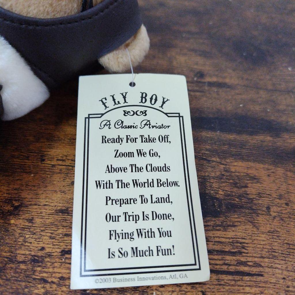 [USED] Pilot Teddy Bear FLY BOY Bear Plush Toy