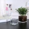 Geometric Cube Vase Transprent Candle Holder Minimalist Fish Tank  Home