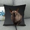 Fashionable cats and cute pet animals Digital printing short plush pillow covers for car sofa office cushion cover home goods