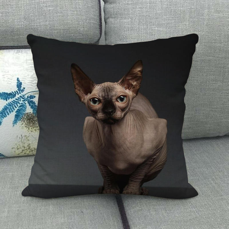 Fashionable cats and cute pet animals Digital printing short plush pillow covers for car sofa office cushion cover home goods