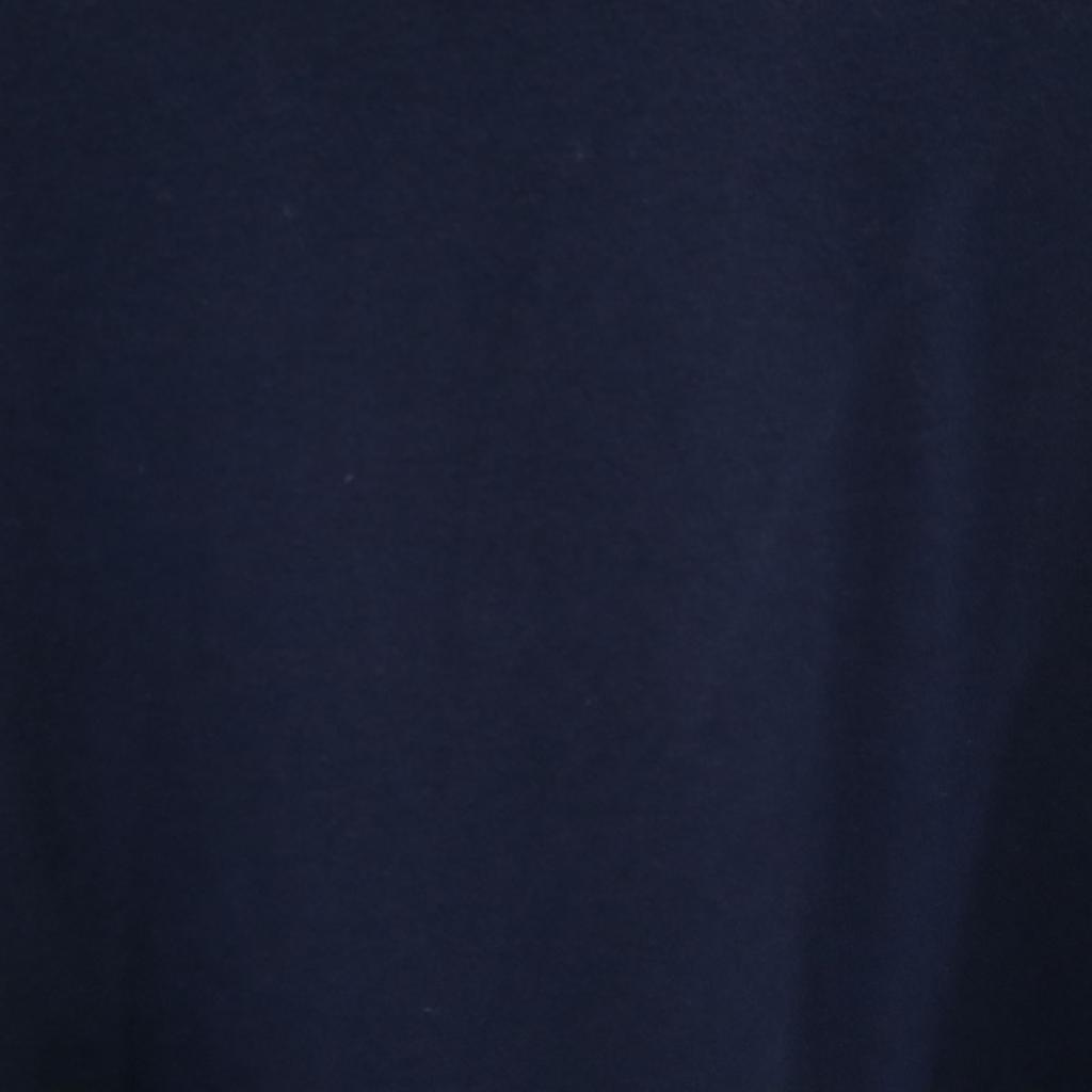 LANVIN SPORT made in Japan Langarm Hoher Kragen Größe 40 Marineblau Herren Gebraucht