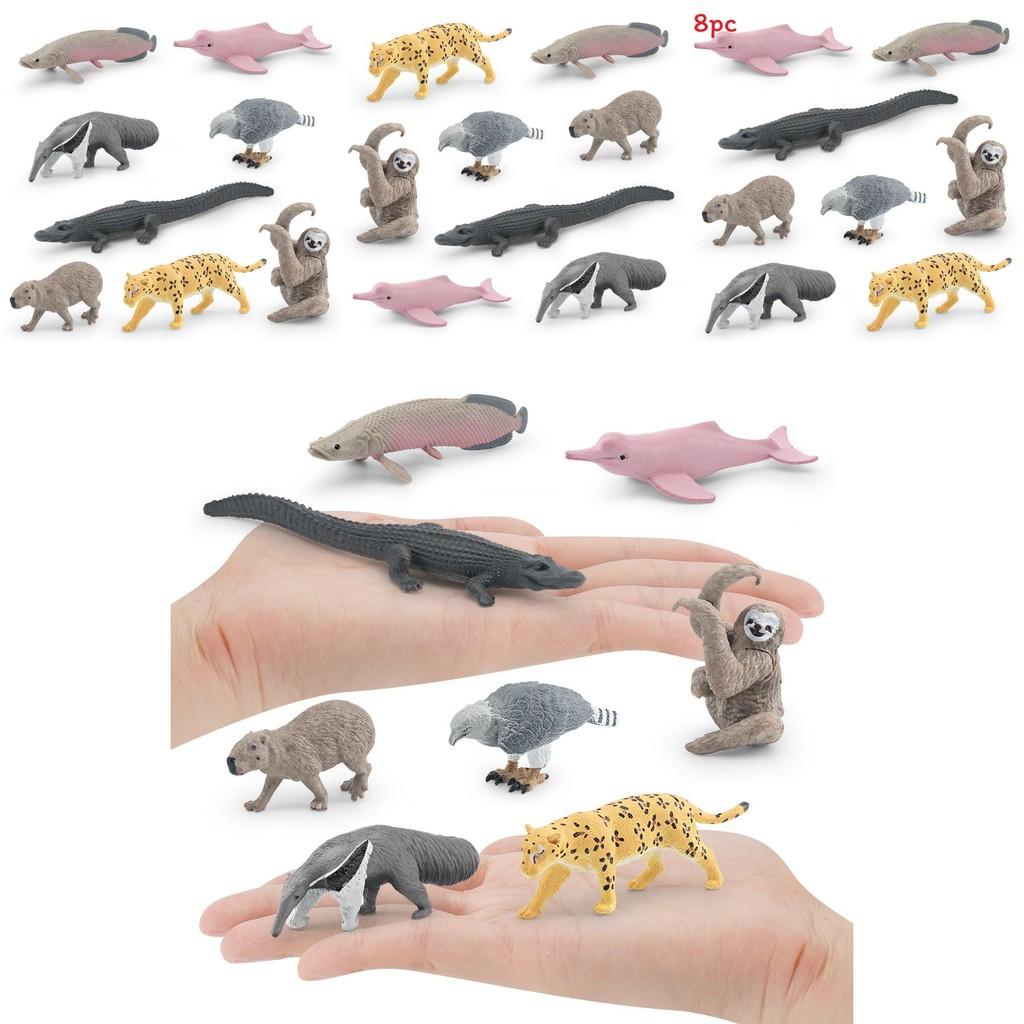 Crocodile Dolphin South American Animal Model Set Wildlife Display For Educational Use