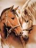 Pittura Diamante 5D Nuovi Arrivi Cavallo Ricamo Rotondo Completo Animali Mosaico Regalo Fatto a Mano Decorazione per la Casa