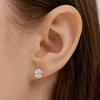 Teardrop Clear Hoop Earring