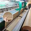 Chimpan Earth Yellow Shade Net