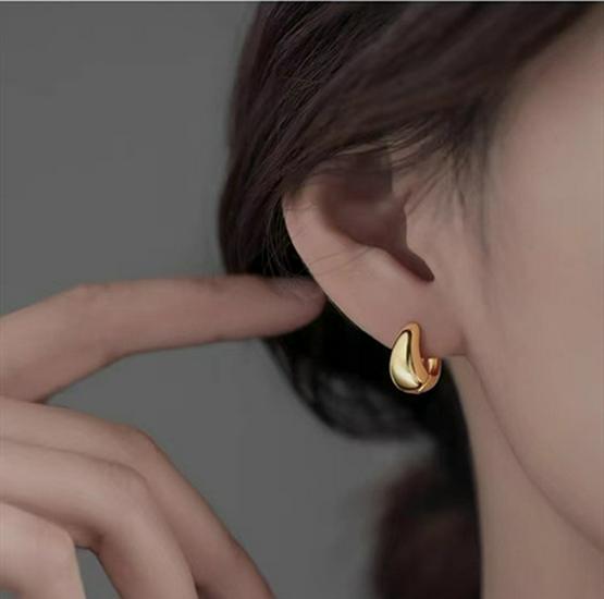 2024 Light Luxury 925 Silver Hoop Earrings: Polished High-End Niche Design for Women