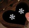 E173 -S925 Sterling Silver Snowflake Series Earrings for Women Fashionable Light Luxury Design Christmas Jewelry Gift