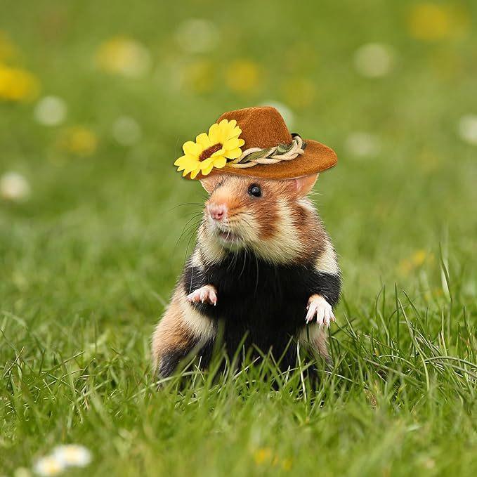 Hamster flower cowboy hat small pet mini cowboy hat guinea pig parrot snake adjustable pet small hat