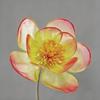 Organza Flower Heads for Aesthetic Wedding and Room Decor