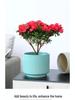 Ceramic Orchid Flower Pot - White Light Luxury, Minimalist Nordic Design for Indoor Living Room