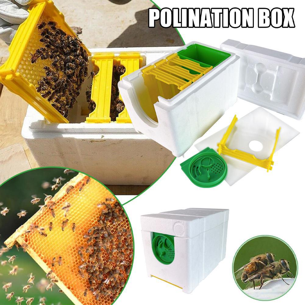 Mini Beehive Beekeeping Box Multi-Function Home Bee Boxes Bee Beekeeper Hive Hive Harvest Pollination Supplies Mating W0N5