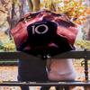 Goals: Triumph Legacy Folding umbrella Suitable for all seasons durable light printing Three folds
